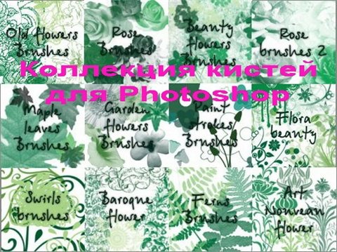 Коллекция кистей для Photoshop - цветы,листья